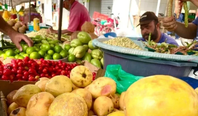 Feiras livres de Arapiraca serão realizadas na terça-feira devido ao feriado de Finados