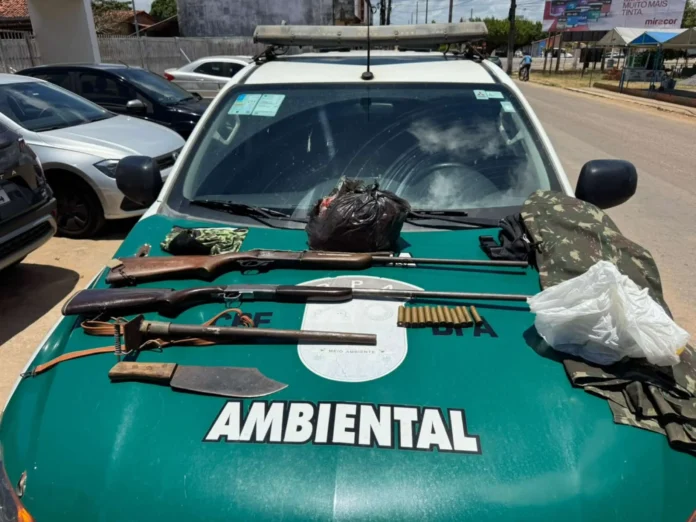PMAL apreende armas de fogo e resgata 15 aves silvestres