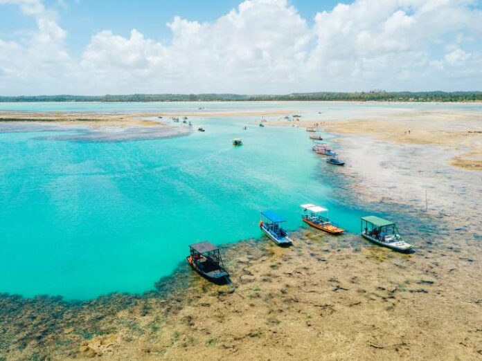 Trabalhadores encontram fragmentos ósseos Praia do Patacho