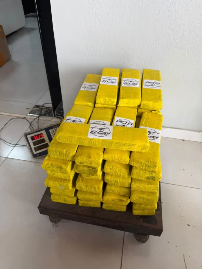Polícia Fazendária participa de ação que apreende 75 kg de drogas e mil cigarros eletrônicos em Arapiraca